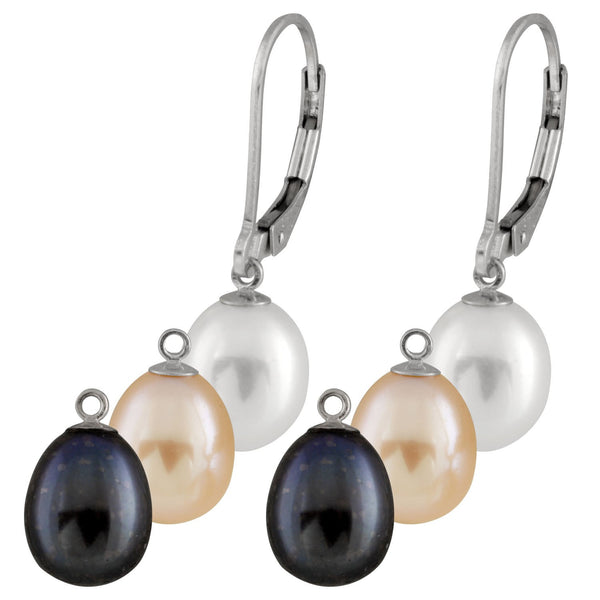 Inter-changeable Lever Back Earrings: DOPESR-138 – Deep